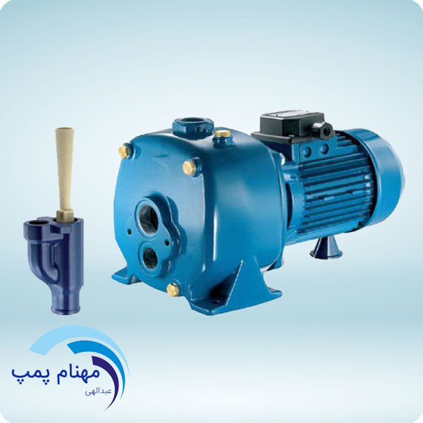 پمپ آب | پمپ آب پنتاکس 1 اسب خود مکش AP 100/00